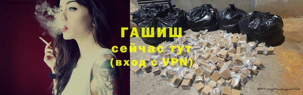 хмурый Сосновый Бор