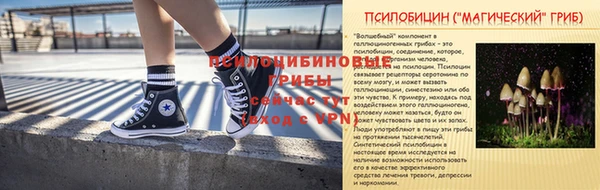 хмурый Сосновый Бор