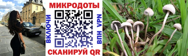Галлюциногенные грибы Cubensis  Ливны 